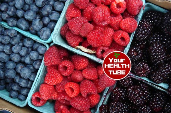 Berries against Parkinson’s disease bl