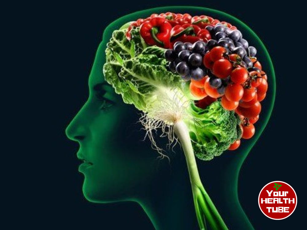 brain-food-to-improve-memory-and-concentration-your-health-tube