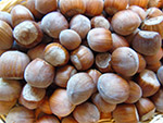 Hazelnuts