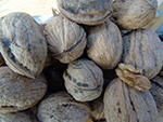 Walnuts