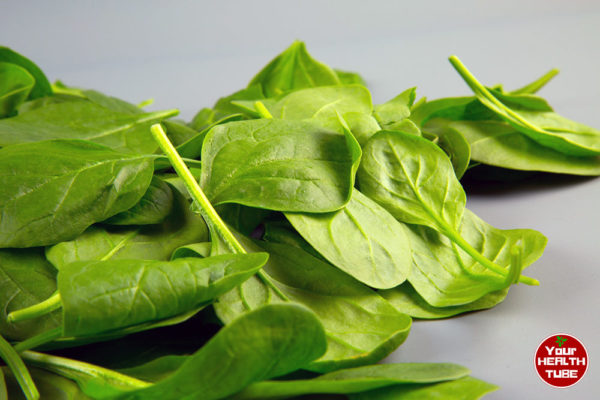 spinach nutrition