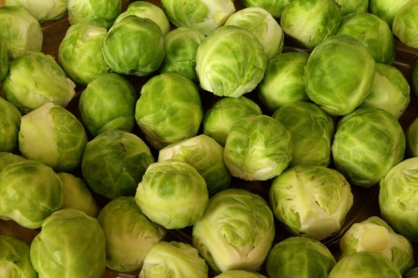 Health Benefits of Brussels Sprouts