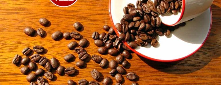 5 Things That Happen to Your Body When You Drink Coffee Daily