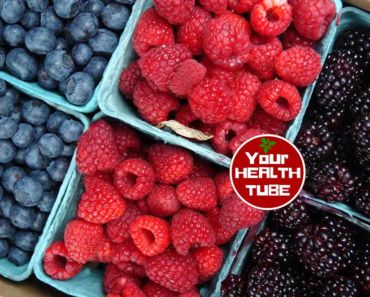 Berries against Parkinson’s disease