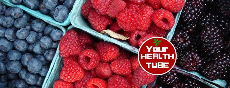 Berries against Parkinson’s disease Berries against Parkinson’s disease