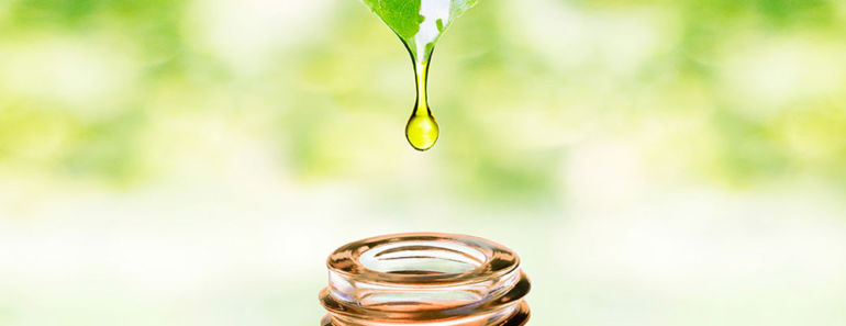 Tea Tree Oil: Health Benefits, Side Effects, Interactions and Dosing