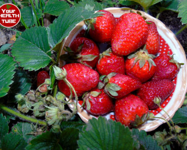 This Is What Happens When You Eat A Cup of Strawberries