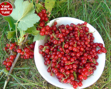 5 Health Benefits of Red Currant + Recipe