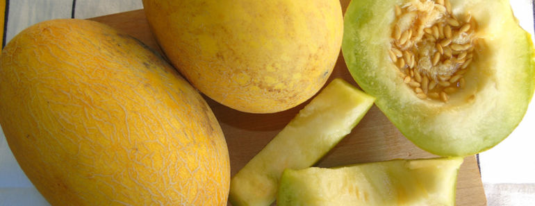 8 Amazing Health Benefits of Cantaloupe + Recipe