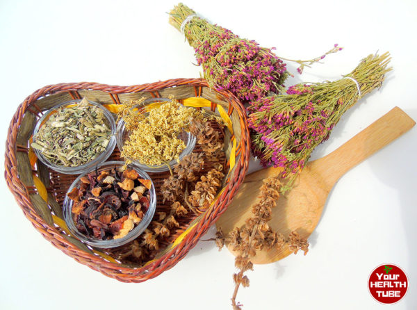 Cleanse Your Body with These 3 Detox Teas – Popular Among Celebrities ...