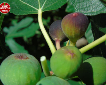 13 Amazing Health Benefits of Figs