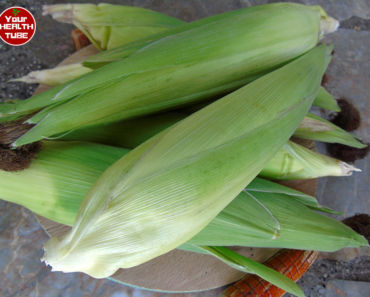 Discover the Amazing Health Benefits of Corn: Boost Immunity, Improve Digestion, and Many More!