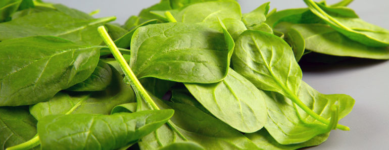 7 Amazing Health Benefits of Spinach: The Real Reasons Why This Veggie is Popeye’s Favorite Food