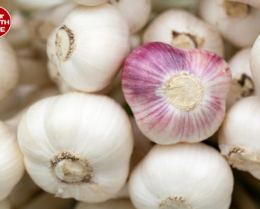 8 Uses and Benefits of Garlic