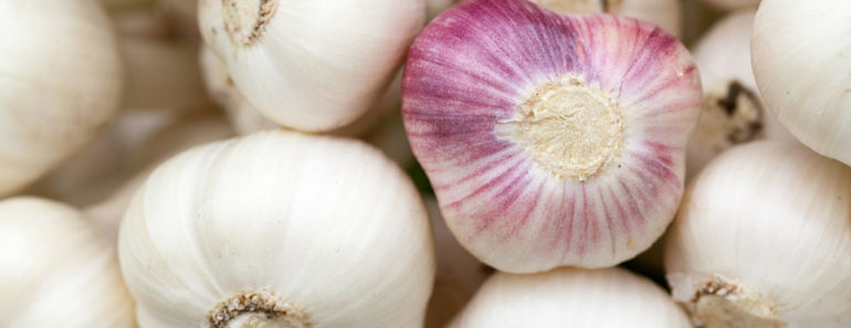 8 Amazing Uses and Benefits of Garlic