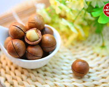 9 Awesome Macadamia Nuts Benefits: A Perfect Way to Lose Weight and Improve Your Health