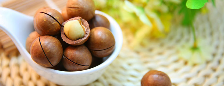 9 Awesome Macadamia Nuts Benefits: A Perfect Way to Lose Weight and Improve Your Health