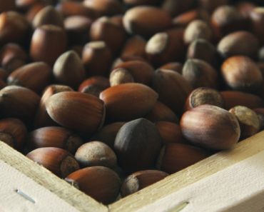 Why You Should Opt for Hazelnuts? These Are The Reasons