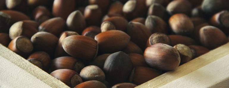 Why You Should Opt for Hazelnuts? These Are The Reasons