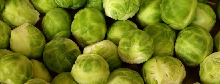 4 Amazing Health of Brussels Sprouts: Your Secret Weapon for a Healthier You!