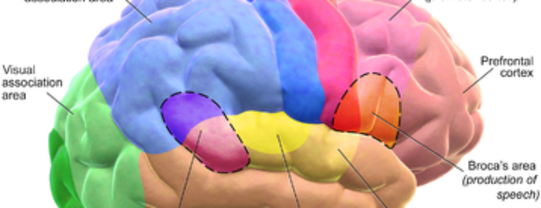 How You Can Boost Your Brain Power