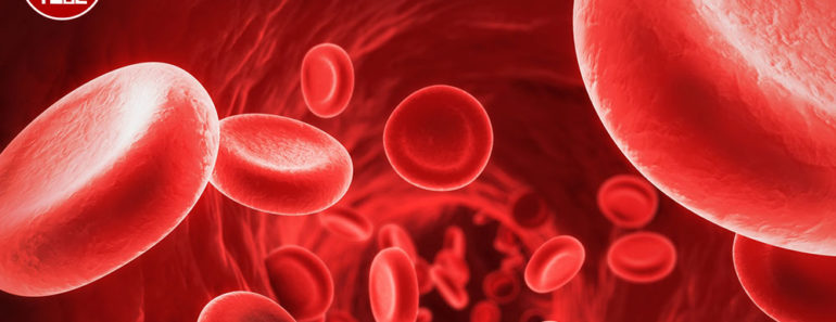 Iron deficiency anemia: Best Iron-Rich Foods