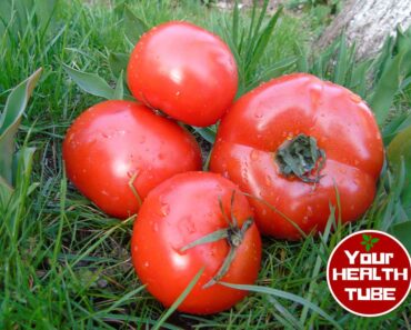 9 Awesome Health Benefits of Tomatoes