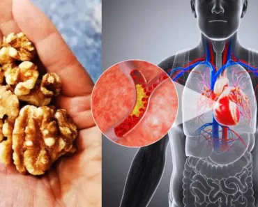 Eat 7 Walnuts and Wait 4 Hours: This Is What Will Happen to You!