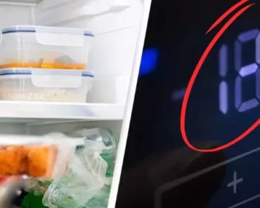 Experts Reveal the Exact Temperature to Set Your Fridge to Prevent Food Poisoning