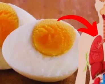 Here’s What Happens to Your Body When You Eat Two Eggs a Day