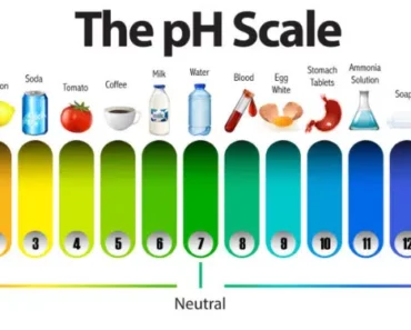 Every Person Who Has Cancer Has a pH That Is Too Acidic: Here’s How to Check Your pH Balance Easily