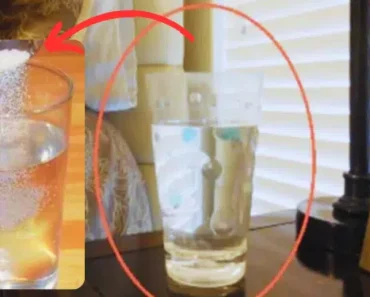 Try This Simple Salt and Vinegar Energy Cleansing Method – See the Results in One Day