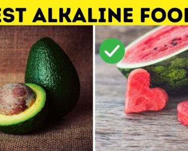 Top 10 Alkaline Foods You Should Be Eating Everyday