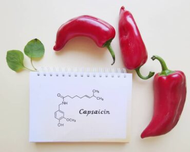 Capsaicin May Slow Down Lung Cancer