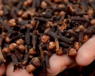 10 Secret Health Benefits of Cloves Everyone Should Know (And How to Use Them)