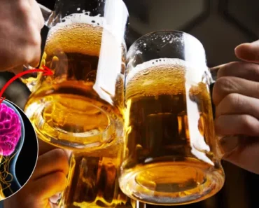 10 Good Reasons Why You Should Drink A Beer – Number 7 is Very Important!