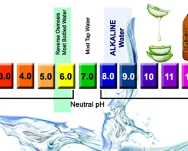 The 5-Ingredient Alkalizing Water Everyone Is Drinking Morning and Night for a Balanced pH