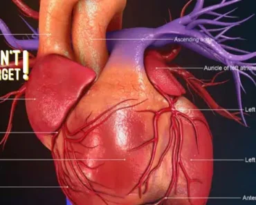 6 Major Warning Signs Your Body Gives Before a Heart Attack