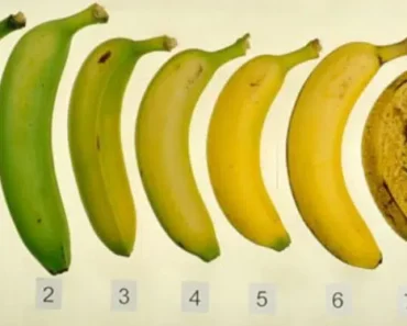 After Reading This, You’ll Never Look at a Banana in The Same Way Again!