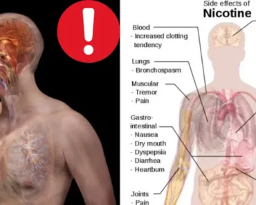 Attention Smokers: These Foods Will Flush Out Nicotine From Your Body