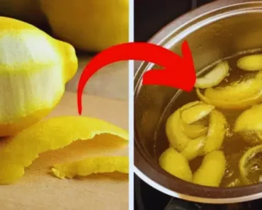 Boil Lemon Peels This Way to Unlock These 7 Incredible Health Benefits