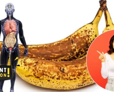 I Ate Bananas Every Day for a Month – Here’s How It Transformed My Body and Boosted My Metabolism