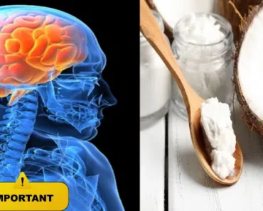 This Man Ate 2 Tablespoons of Coconut Oil Twice a Day, and This is What Happened to His Brain