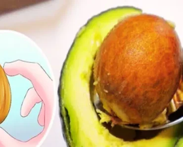 You Will Never Throw Away Another Avocado Seed After Reading This