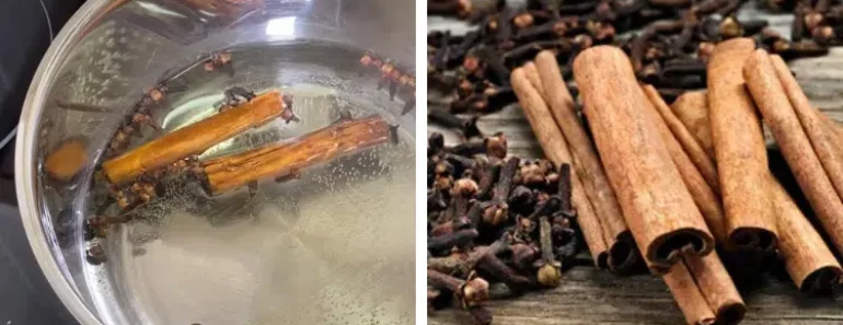 Drink Cloves with Cinnamon First Thing in the Morning: See What Happens to Your Body the Next Day!