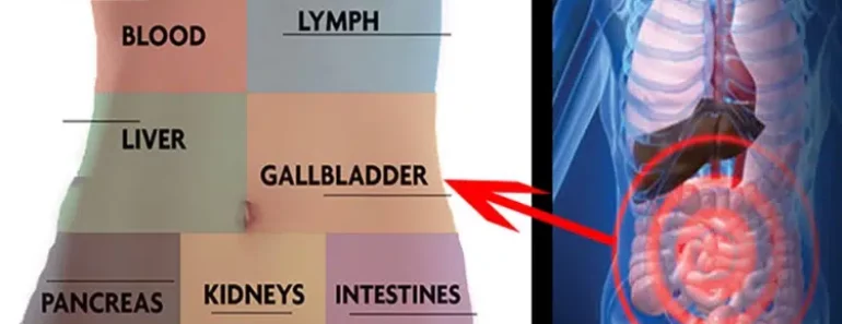 How to Detox Each Organ to Never Be Sick or Tired Again