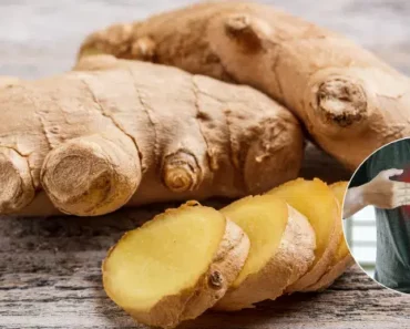 Be Careful When Using Ginger! Here’s When You Shouldn’t Consume It…