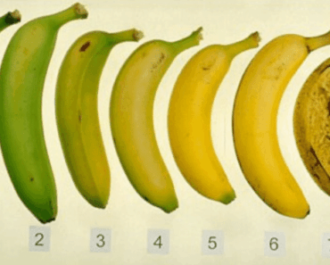 After Reading This, You’ll Never Look at a Banana in The Same Way Again!