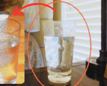 Try This Simple Salt and Vinegar Energy Cleansing Method – See the Results in Just 24 Hours!