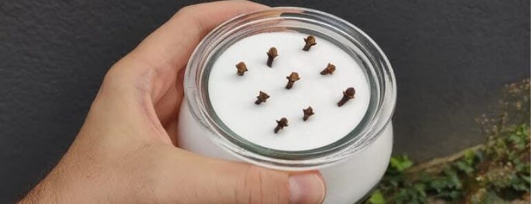 Just Put Cloves in Baking Soda and You Won’t Believe How Effective it is